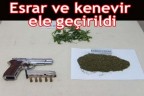 Esrar ve kenevir ele geçirildi