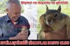 EVCİLLEŞTİRDİĞİ SİNCAPLAR DOSTU OLDU