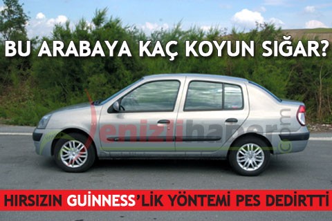 FIKRA GİBİ OTOMOBİLE 10 KOYUN SIĞDIRDILAR