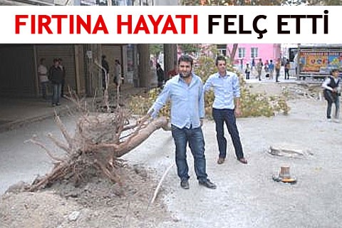 FIRTINA HAYATI FELÇ ETTİ
