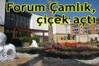 Forum Çamlık, çiçek açtı