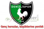 Genç horozlar, büyüklerine yenildi