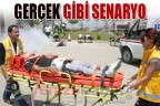 Gerçek gibi senaryo