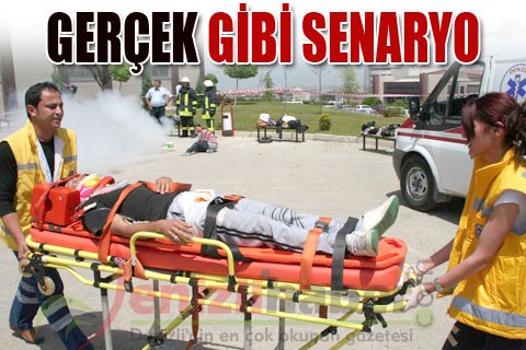 Gerçek gibi senaryo