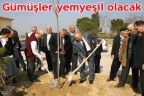 Gümüşler yemyeşil olacak