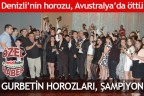 GURBETİN HOROZLARI, ŞAMPİYON