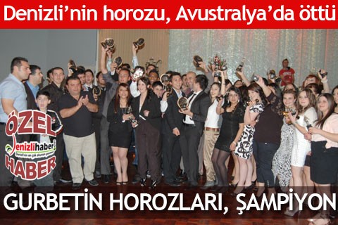 GURBETİN HOROZLARI, ŞAMPİYON