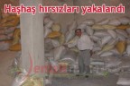 Haşhaş hırsızları yakalandı