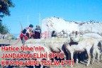 Hatice Nine’nin JANDARMA ELİNİ ÖPTÜ KOYUNLARINI TESLİM ETTİ