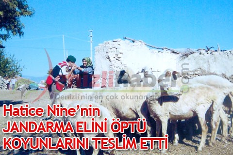 Hatice Nine’nin JANDARMA ELİNİ ÖPTÜ KOYUNLARINI TESLİM ETTİ