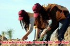 Havayolu şirketinden Honaz’a bin 500 fidan