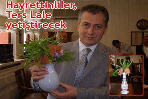 Hayrettinliler, Ters Lale yetiştirecek
