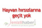 Hayvan hırsızlarına geçit yok