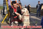 “HAYVAN İŞKENCELERİ SON BULSUN”