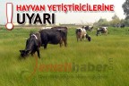 HAYVAN YETİŞTİRİCİLERİNE UYARI!