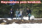 Hayvanlara yem bırakıldı