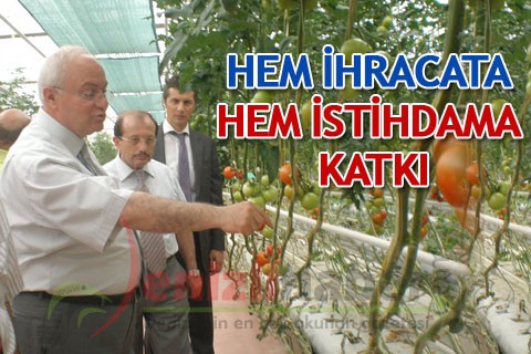Hem ihracata hem istihdama katkı