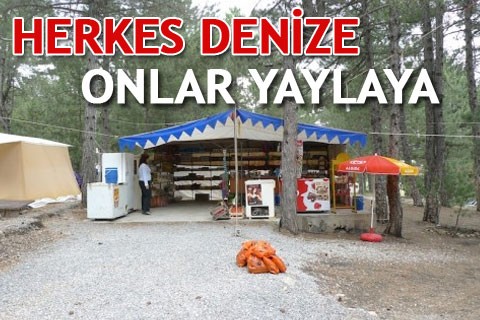 HERKES DENİZE ONLAR YAYLAYA
