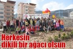 Herkesin dikili bir ağacı olsun