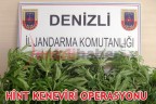 HİNT KENEVİRİ OPERASYONU