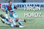HIRÇIN HOROZ