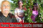 Honaz kirazında marka sorunu