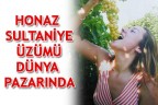 HONAZ SULTANİYE ÜZÜMÜ DÜNYA PAZARINDA
