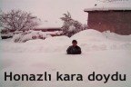 Honazlı kara doydu