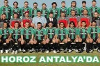 Horoz Antalya’da
