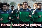 Horoz Antalya’ya gidiyor