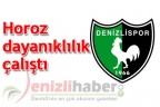 Horoz dayanıklılık çalıştı