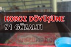 HOROZ DÖVÜŞÜNE 51 GÖZALTI