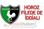 Horoz filede de iddialı