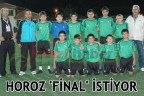 HOROZ “FİNAL” İSTİYOR