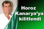 Horoz Kanarya’ya kilitlendi