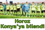 Horoz Konya’ya bilendi