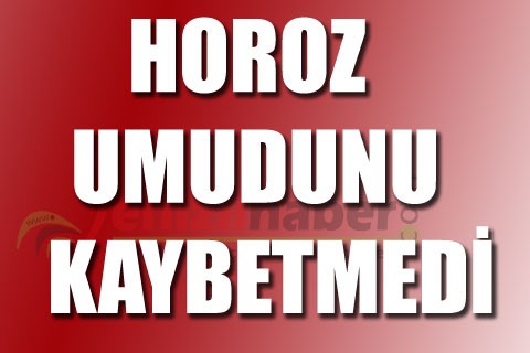 HOROZ UMUDUNU KAYBETMEDİ