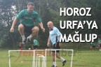 HOROZ URFA’YA MAĞLUP