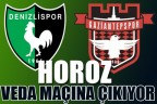 HOROZ VEDA MAÇINA ÇIKIYOR