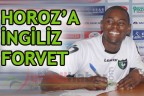 HOROZ’A İNGİLİZ FORVET