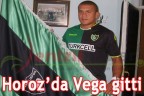 Horoz’da Vega gitti