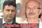 Horoz’un talihsizliği