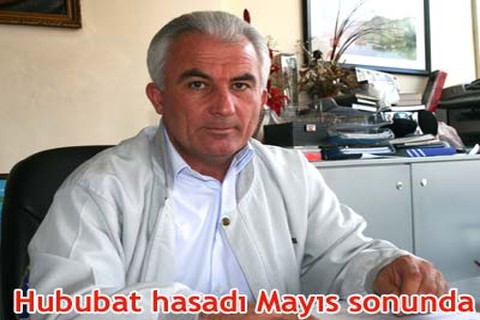 Hububat hasadı Mayıs sonunda