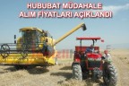 HUBUBAT MÜDAHALE ALIM FİYATLARI AÇIKLANDI