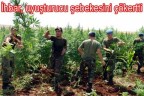 İhbar, uyuşturucu şebekesini çökertti