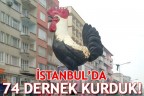 İSTANBUL’DA 74 DERNEK KURDUK!