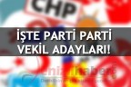 İŞTE PARTİ PARTİ VEKİL ADAYLARI!
