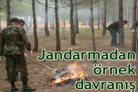 Jandarmadan örnek davranış