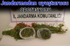Jandarmadan uyuşturucu operasyonu