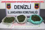 JANDARMADAN UYUŞTURUCU OPERASYONU